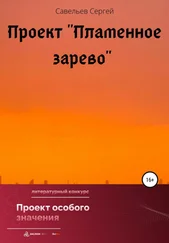 Сергей Савельев - Проект «Пламенное зарево»