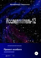 Владимир Гаврилов - Исследователь-12