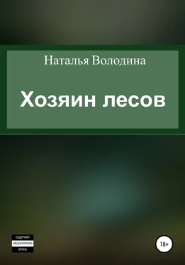 Наталья Володина Хозяин лесов обложка книги