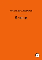 Александр Аввакумов - В тени