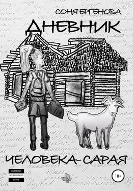 Соня Ергенова Дневник Человека-Сарая обложка книги