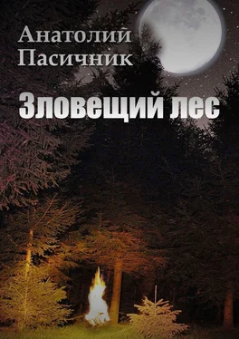 Анатолий Пасичник Зловещий лес обложка книги