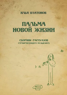 Илья Платонов Пальма новой жизни. Сборник рассказов странствующего музыканта обложка книги