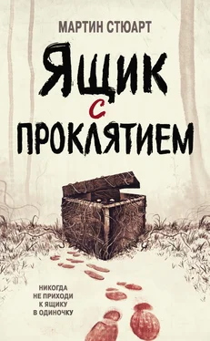 Мартин Стюарт Ящик с проклятием обложка книги