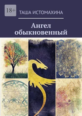 Таша Истомахина Ангел обыкновенный обложка книги