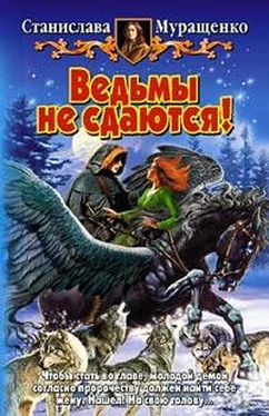 Станислава Муращенко Ведьмы не сдаются! обложка книги