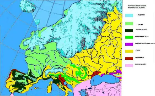 Растительность максимума Валдая На большей части европейской территории нашей - фото 24