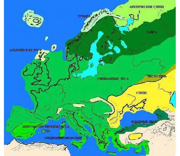 Растительность голоцена В мезолитическую эпоху происходит освоение человеком - фото 27