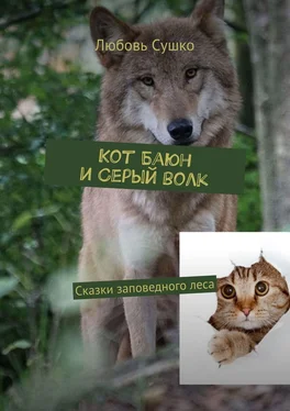 Любовь Сушко Кот Баюн и Серый волк. Сказки заповедного леса обложка книги
