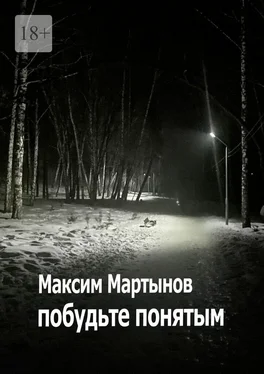 Максим Мартынов побудьте понятым обложка книги