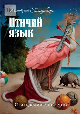 Дмитрий Гольденберг Птичий язык. Стиходелии 2002–2019 обложка книги