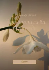 Александр Зверев - Аристотелева тетрадь. Оберег