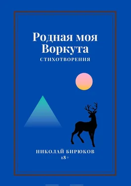 Николай Бирюков Родная моя Воркута обложка книги