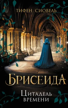 Тифен Сиовель Брисеида. Цитадель времени обложка книги