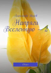 Александр Зверев - Напряги Вселенную – 2. Оберег