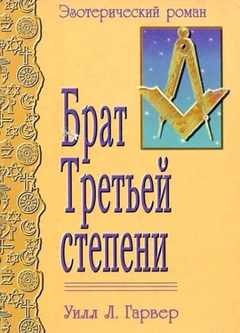 Уилл Гарвер Брат Третьей Степени обложка книги