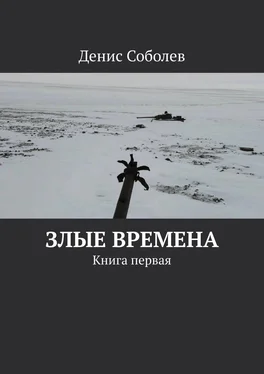 Денис Соболев Злые времена. Книга первая обложка книги