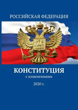 Тимур Воронков Конституция. С изменениями 2020 г. обложка книги