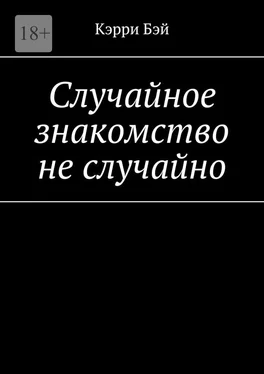 Кэрри Бэй Случайное знакомство не случайно обложка книги