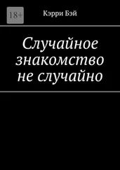 Кэрри Бэй - Случайное знакомство не случайно