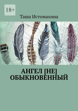 Таша Истомахина Ангел [не] обыкновенный обложка книги
