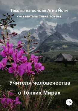 Елена Конева Учителя человечества о Тонких Мирах обложка книги