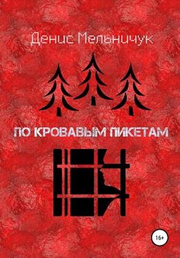 Денис Мельничук По кровавым пикетам обложка книги