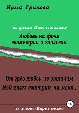 Ирма Гринёва Любовь на фоне геометрии и зоологии. От грёз любви не отличим. Мой ангел смотрит на меня… обложка книги