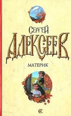 Сергей Алексеев Материк. Не поле перейти обложка книги