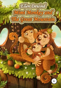 Ellen Dewind Mimi Monkey and The Great Mountain