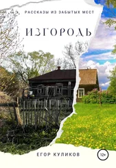 Егор Куликов - Изгородь
