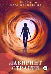 Саша Ларина - Лабиринт страсти
