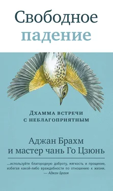 Аджан Брахм Свободное падение. Дхамма встречи с неблагоприятным обложка книги