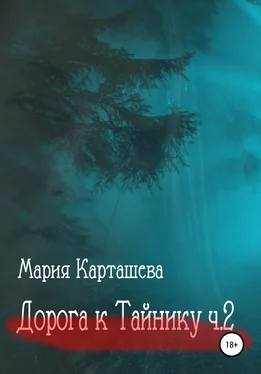 Мария Карташева Дорога к ТАЙНИКУ. Часть 2 обложка книги