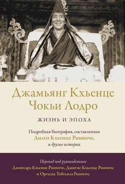 Дилго Кхьенце Ринпоче Джамьянг Кхьенце Чокьи Лодро. Жизнь и эпоха обложка книги