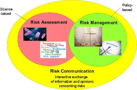 Figure I2 The three components of risk analysis risk assessment risk - фото 3