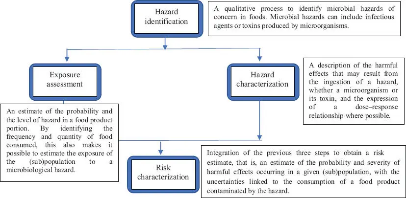 Figure I3 Microbiological risk assessment Adapted from the FAO and WHO - фото 4