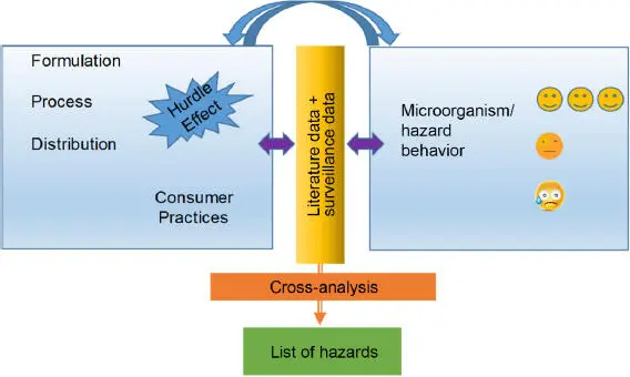 Figure11 Structuring of information essential to hazard identification - фото 5