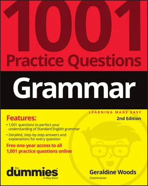 Geraldine Woods Grammar: 1001 Practice Questions For Dummies (+ Free Online Practice) обложка книги