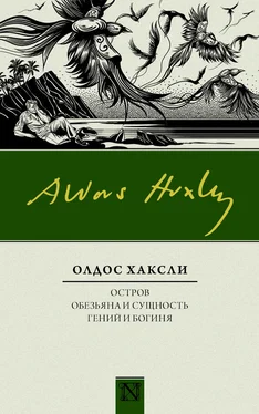 Олдос Хаксли Остров. Обезьяна и сущность. Гений и богиня обложка книги