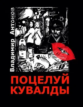 Владимир Антонов Поцелуй кувалды обложка книги