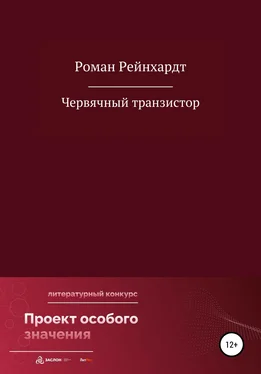 Роман Рейнхардт Червячный транзистор обложка книги