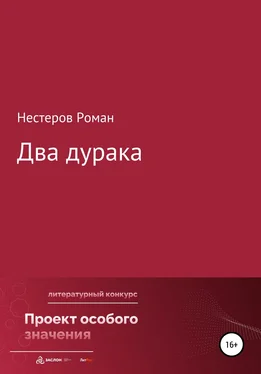 Роман Нестеров Два дурака обложка книги