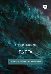 Сергей Галикин - Пурга