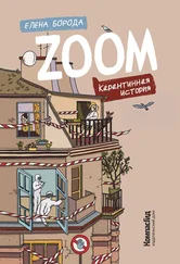 Елена Борода - Zoom. Карантинная история