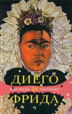 Жан-Мари Леклезио Диего и Фрида обложка книги