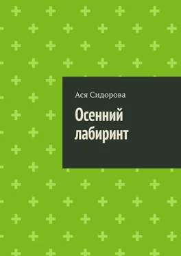 Ася Сидорова Осенний лабиринт обложка книги