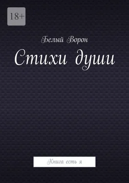 Белый Ворон Стихи души. Книга есть я обложка книги