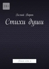 Белый Ворон - Стихи души. Книга есть я