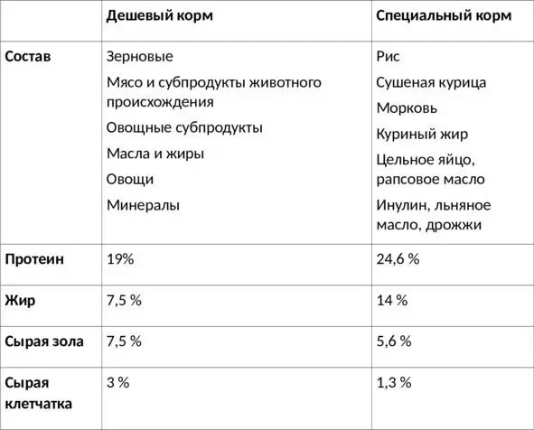 Высококачественный корм содержит значительно больше белка и жира Кроме того - фото 3